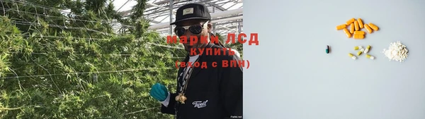 spice Покров