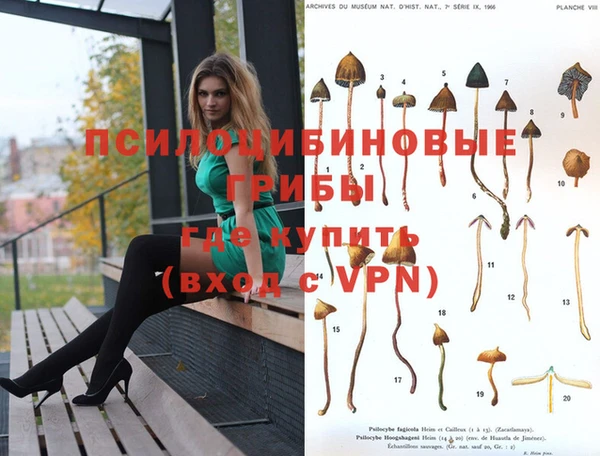 тгк Верхний Тагил